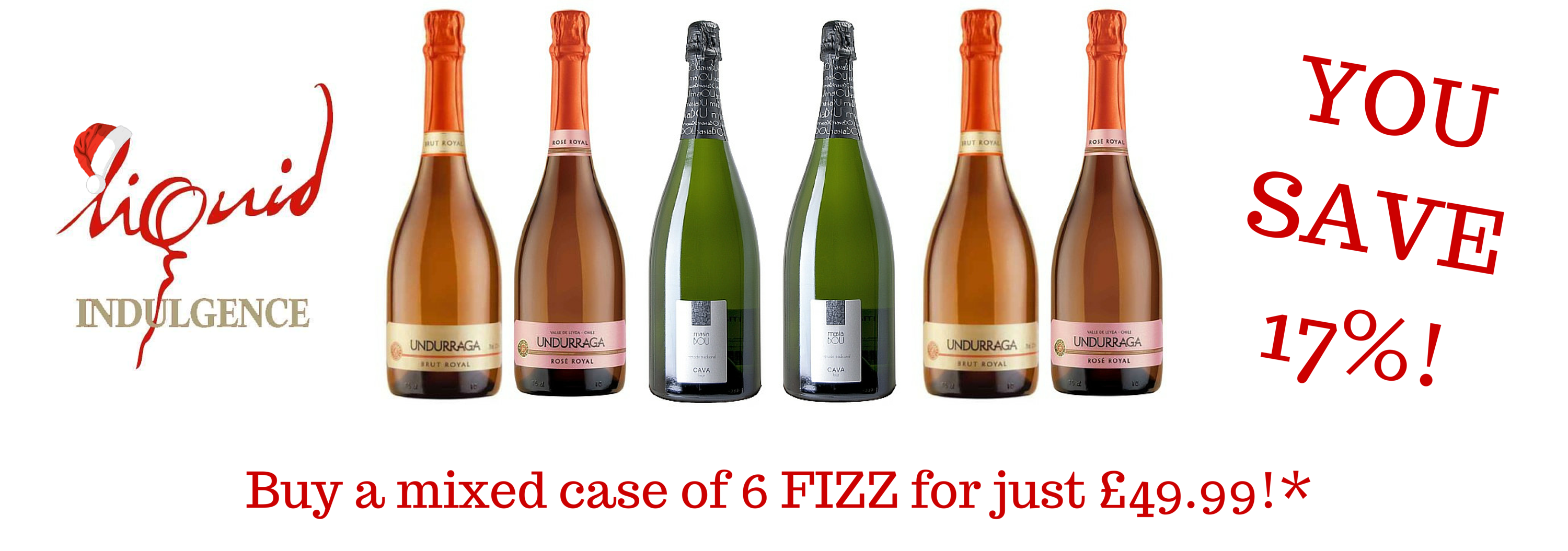 fizz bundle.png